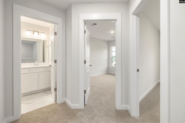 20 Fawn Spot Court, Elgin, SC 29045