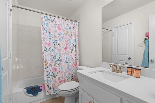 1217 Armadillo Trail, Lantana, TX 76226