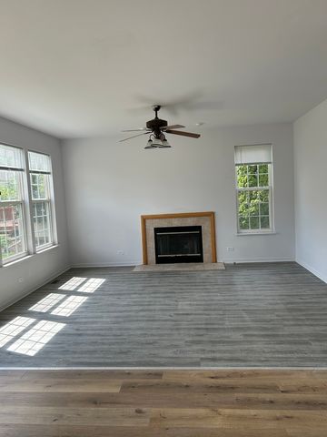 161 GREGORY M SEARS Drive, Gilberts, IL 60136