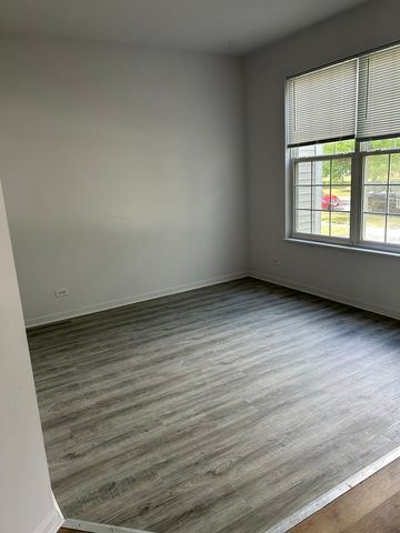 161 GREGORY M SEARS Drive, Gilberts, IL 60136