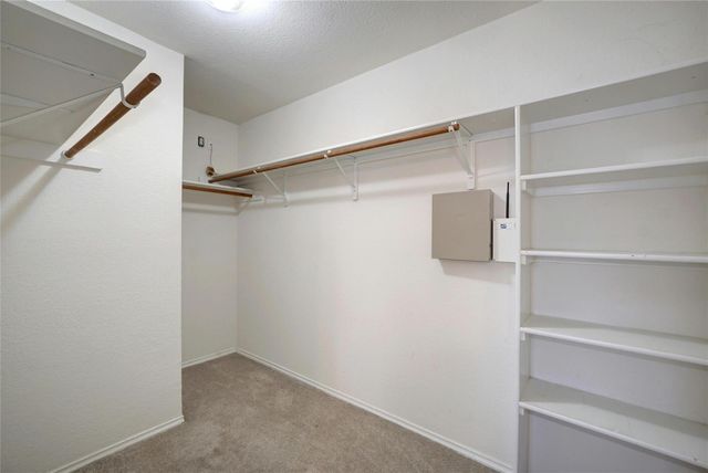 17127 Ardisia DR, Pflugerville, TX 78660