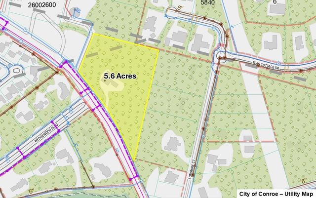 2536 Longmire Road, Conroe, TX 77304