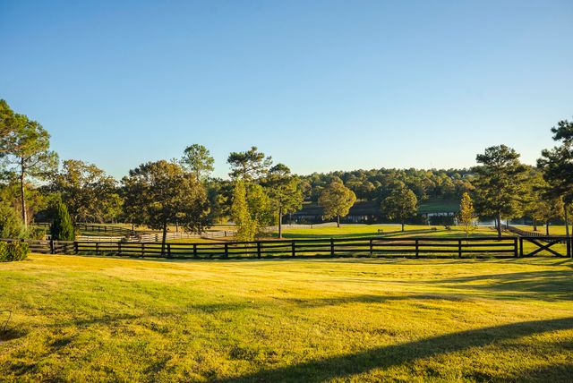 409 Chestnut Brown Court, Warrenville, SC 29851