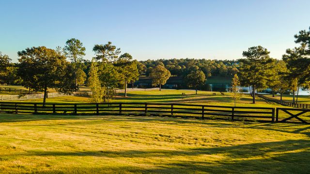 409 Chestnut Brown Court, Warrenville, SC 29851