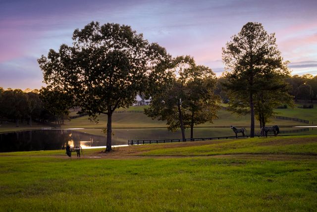 409 Chestnut Brown Court, Warrenville, SC 29851