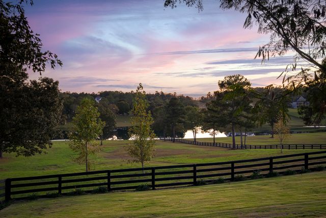 409 Chestnut Brown Court, Warrenville, SC 29851