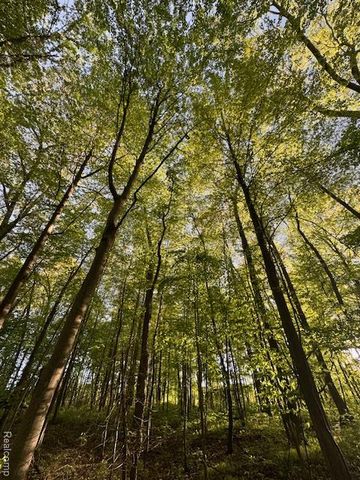 VL Lot D Trl Chevron, Highland, MI 48356