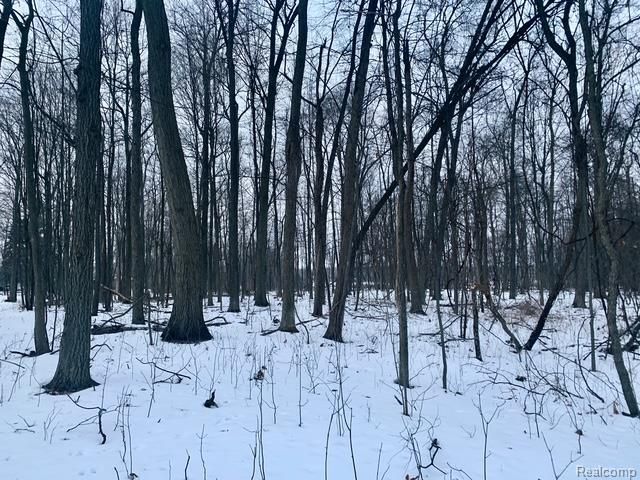 VL Lot D Trl Chevron, Highland, MI 48356