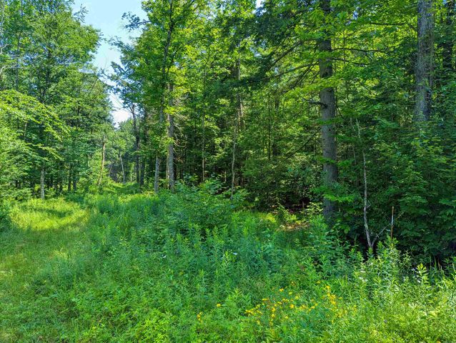 Woods S Road, Warren, VT 05674