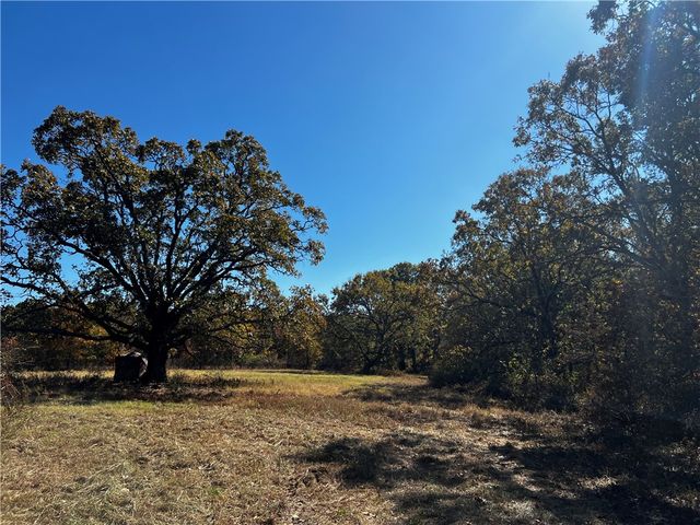 8.96 Acres N Mt Olive Road, Gravette, AR 72736