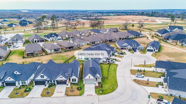14651 Cedar Elm Court, Willis, TX 77318