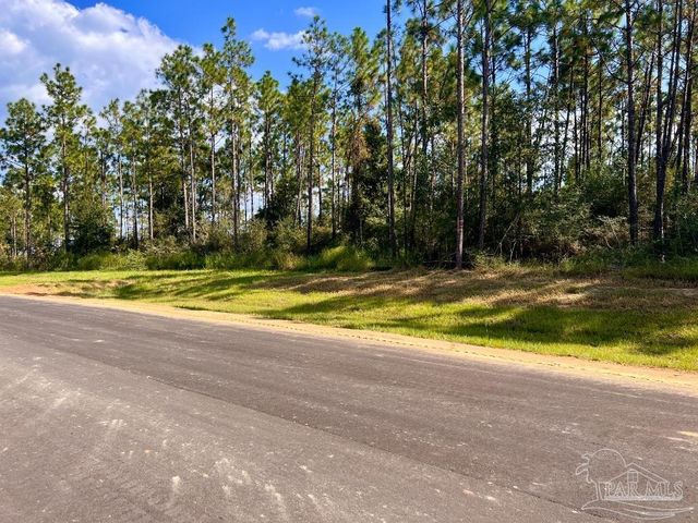 Lot 28 Morgans Branch, Molino, FL 32577