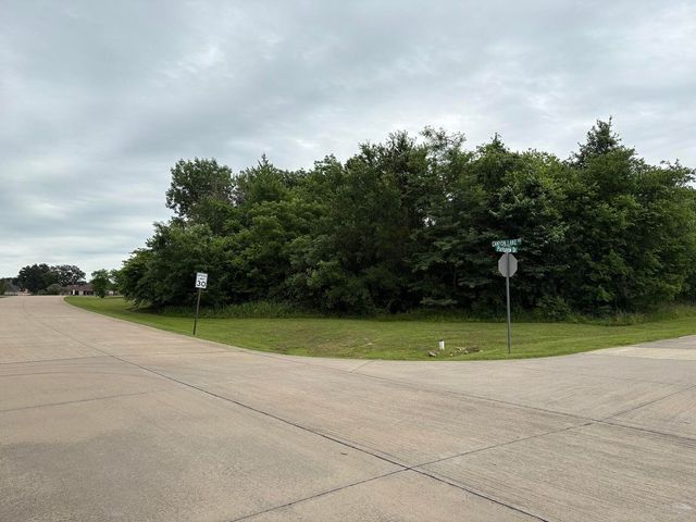 1757 Canyon Lake Road, Wills Point, TX 75169