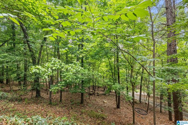 3211 MOUNTAIN RIDGE CIRCLE, Birmingham, AL 35242