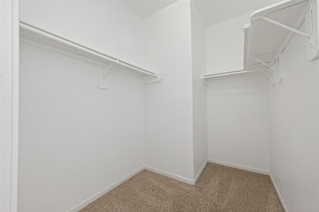 22522 Fosters Park Court, Porter, TX 77365