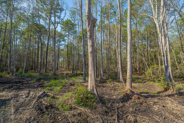 808 Society Road, Mcclellanville, SC 29458