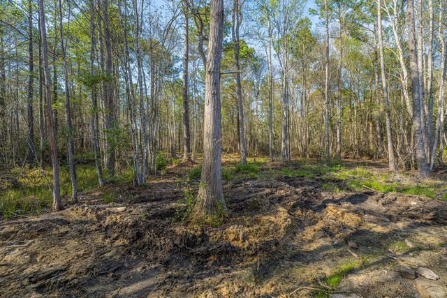 808 Society Road, Mcclellanville, SC 29458