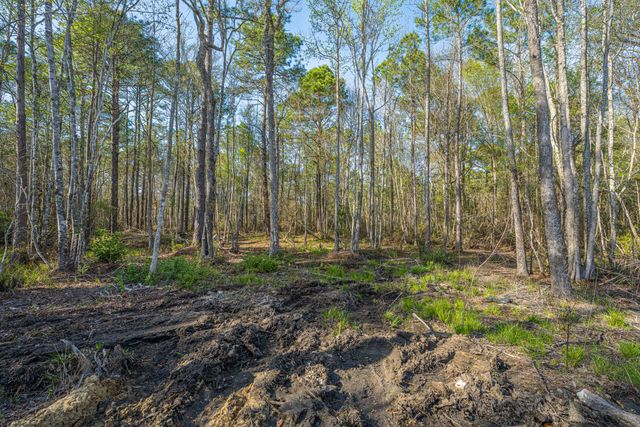 808 Society Road, Mcclellanville, SC 29458