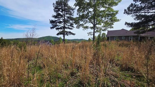 Lot 48 Water Oak Lane, Blairsville, GA 30512