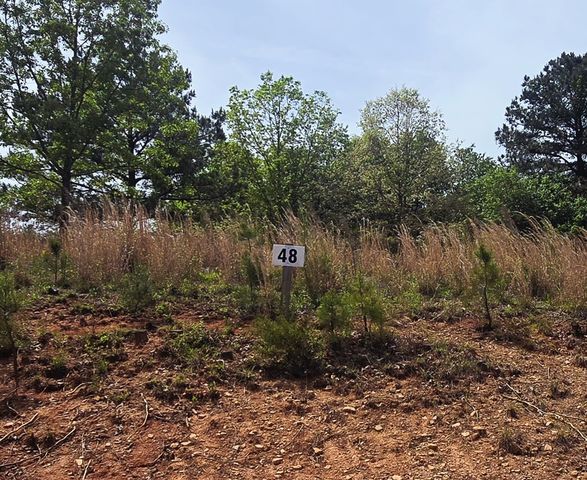 Lot 48 Water Oak Lane, Blairsville, GA 30512