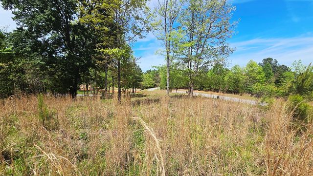 Lot 48 Water Oak Lane, Blairsville, GA 30512