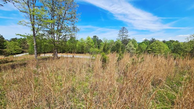 Lot 48 Water Oak Lane, Blairsville, GA 30512