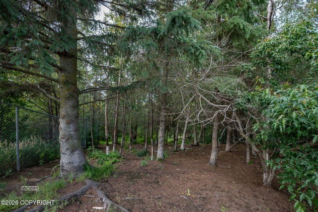 12201 Skyway Drive, Anchorage, AK 99515
