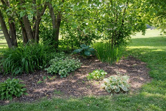 1434 Pine Valley Boulevard, Ann Arbor, MI 48104