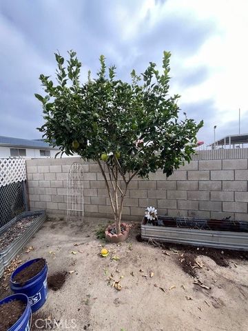 432 S Harbor Boulevard 7, Santa Ana, CA 92704