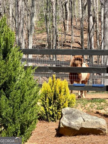 554 SE Tipton Springs Road, Morganton, GA 30560