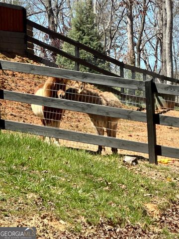 554 SE Tipton Springs Road, Morganton, GA 30560
