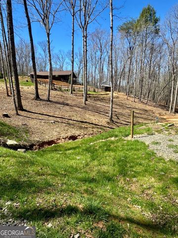 554 SE Tipton Springs Road, Morganton, GA 30560