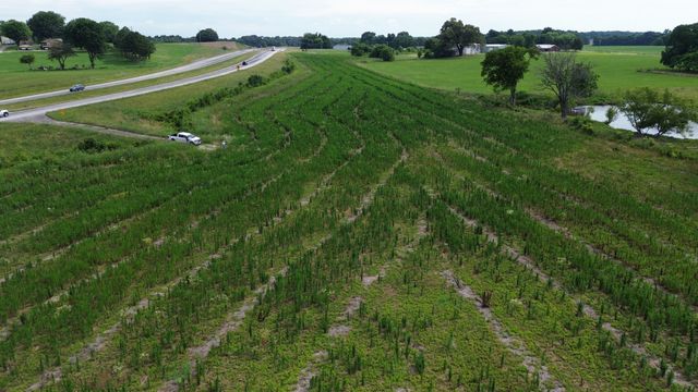 0 David Crockett Pkwy, Belvidere, TN 37306