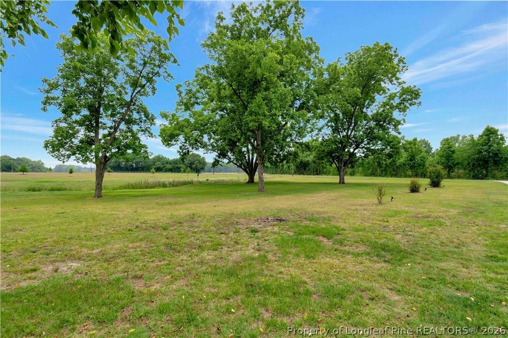 6290 Regan Church Road, Lumberton, NC 28358 — photo 9