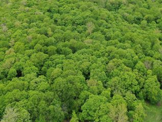 (Lot 10) TBD NE Rock Lake Road, Rochert, MN 56578