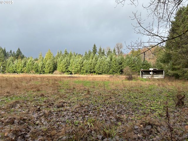 0 BYHAM Rd, Winlock, WA 98596