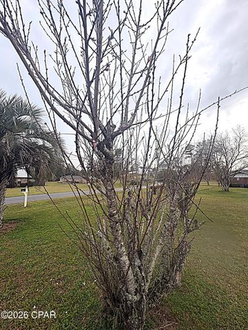 4642 River Drive, Marianna, FL 32446