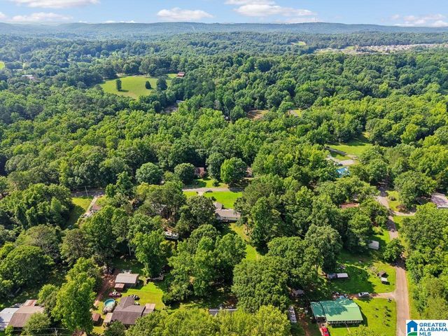 147 JOEL COURT, Springville, AL 35146