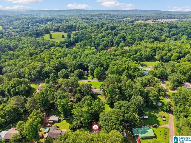 147 JOEL COURT, Springville, AL 35146