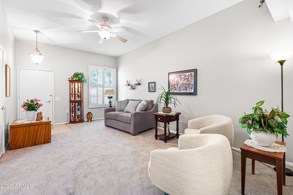 10016 W Hawthorn Drive, Sun City, AZ 85351 — photo 4