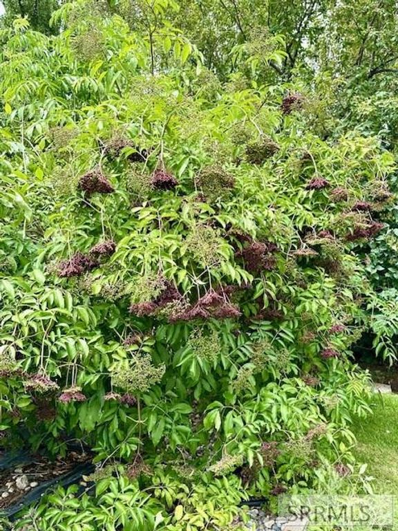 Image 24 of property listing at 2 N 3737 E, Rigby, ID 83442