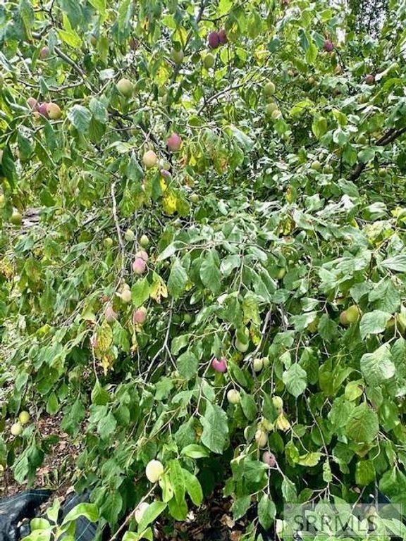 Image 32 of property listing at 2 N 3737 E, Rigby, ID 83442