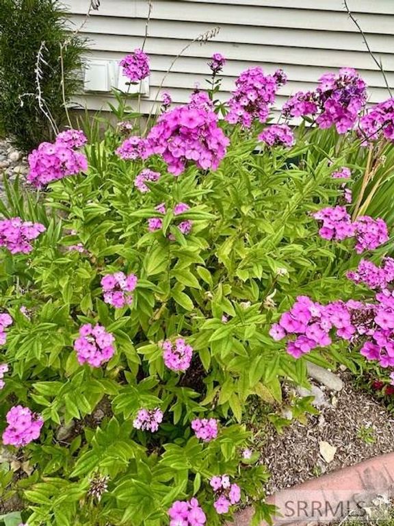 Image 33 of property listing at 2 N 3737 E, Rigby, ID 83442