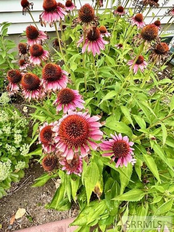 Image 34 of property listing at 2 N 3737 E, Rigby, ID 83442