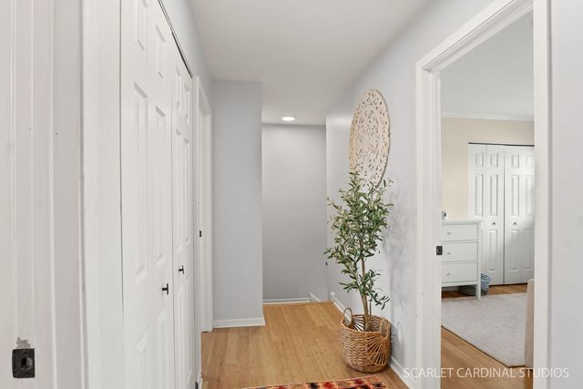 20 Shore Drive, Schaumburg, IL 60193