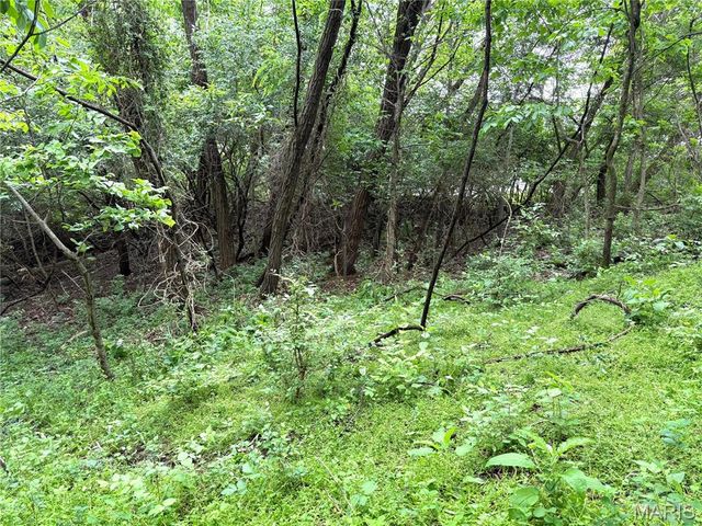 16815 Manchester Road, Wildwood, MO 63040