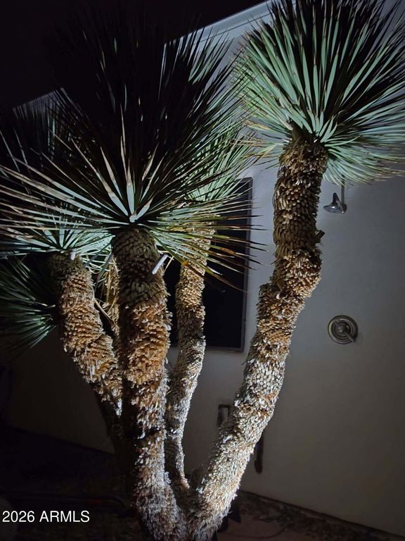 Image 99 of property listing at 14007 E BAJADA Drive, Scottsdale, AZ 85262