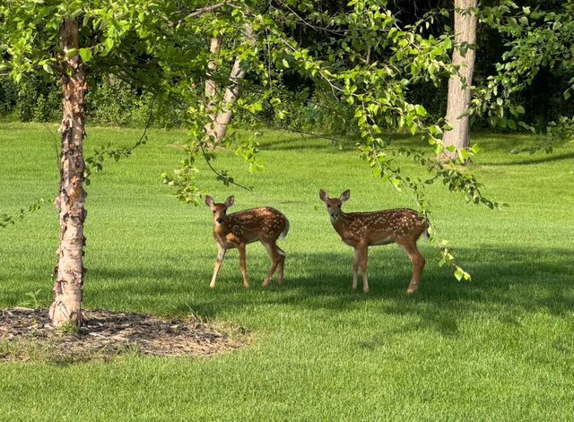 5255 Pagenhart Lane SW, Rochester Twp, MN 55902