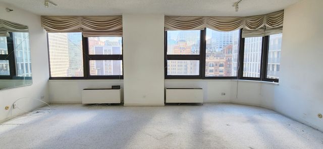 221 E Walton Place 17E, Chicago, IL 60611