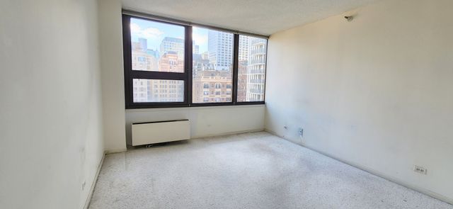 221 E Walton Place 17E, Chicago, IL 60611